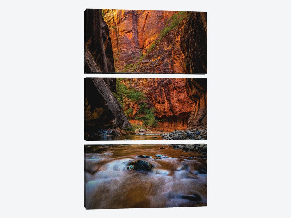 Utah Zion National Park The Narrows Hike I by Alex G Perez 3-piece Canvas Wall Art