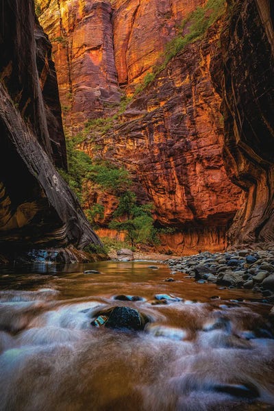 Utah: Utah Zion National Park The Narrows Hike I by Alex G Perez