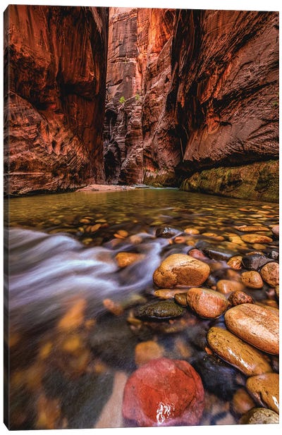 Utah Zion National Park The Narrows Hike II Canvas Art Print - River, Creek & Stream Art