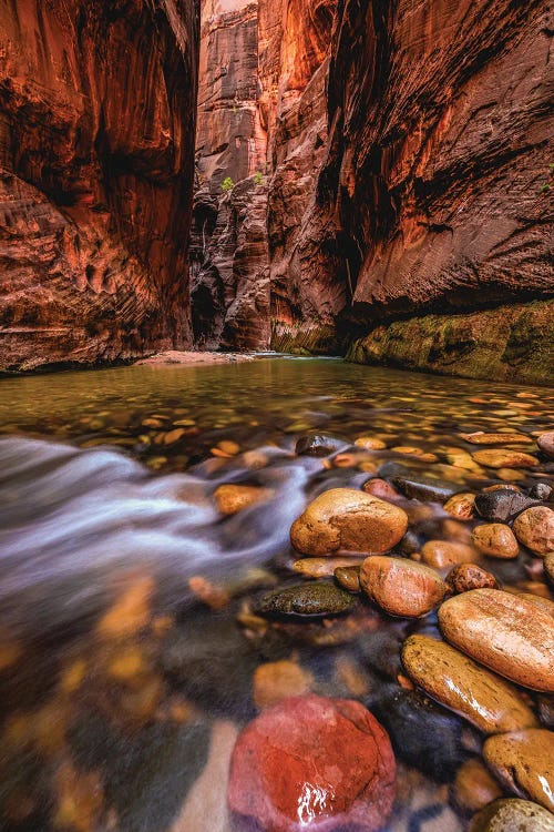 Utah Zion National Park The Narrows Hike II by Alex G Perez wall art
