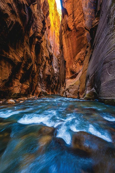 Utah: Utah Zion National Park The Narrows Hike III by Alex G Perez