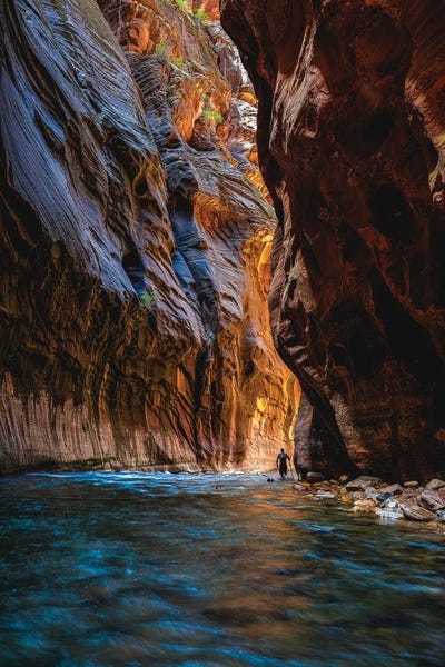 Utah: Utah Zion National Park The Narrows Hike IV by Alex G Perez