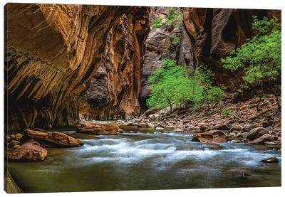 Utah Zion National Park The Narrows Hike V Canvas Art Print - River, Creek & Stream Art