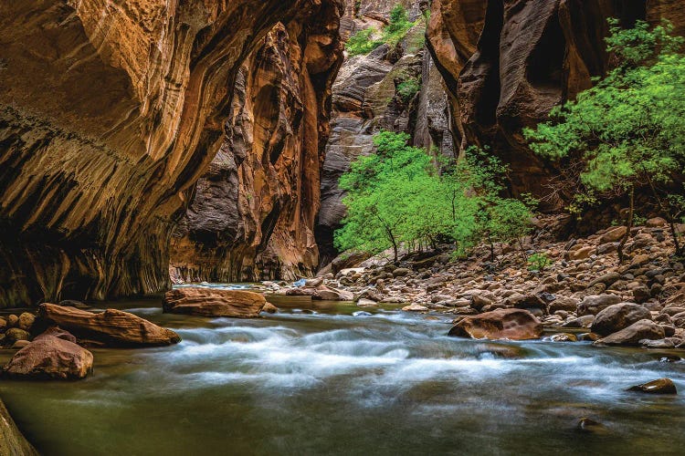 Utah Zion National Park The Narrows Hike V