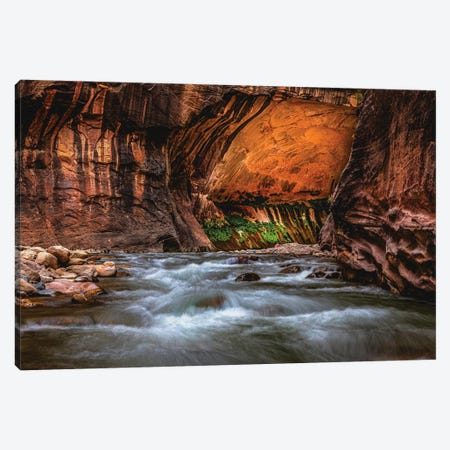 Utah Zion National Park The Narrows Hike VI Canvas Print #AGP348} by Alex G Perez Canvas Art