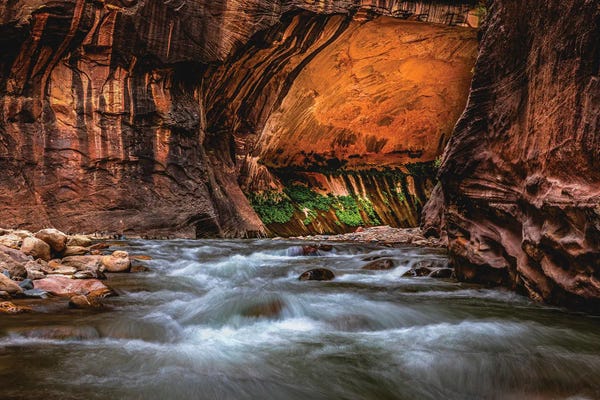 Utah: Utah Zion National Park The Narrows Hike VI by Alex G Perez