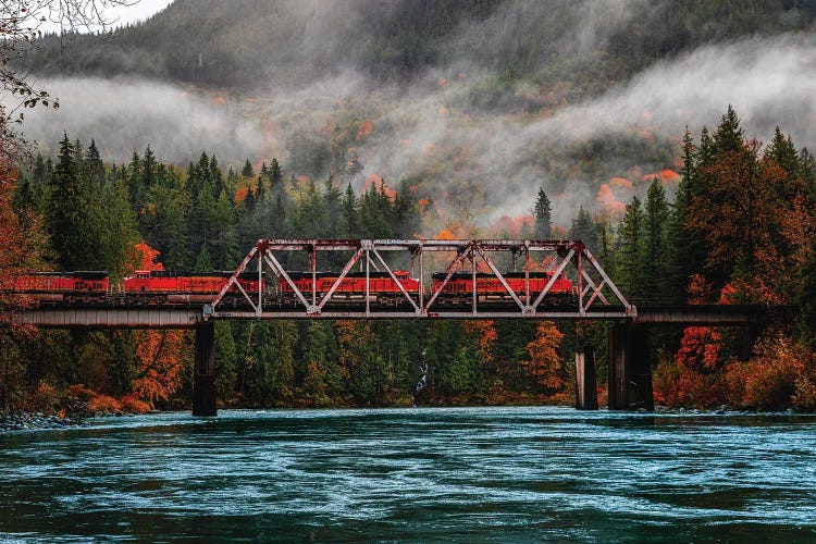 Washington Olympic National Park Fall Leaves I