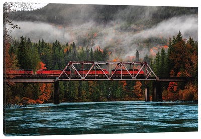 Washington Olympic National Park Fall Leaves I Canvas Art Print - Olympic National Park Art