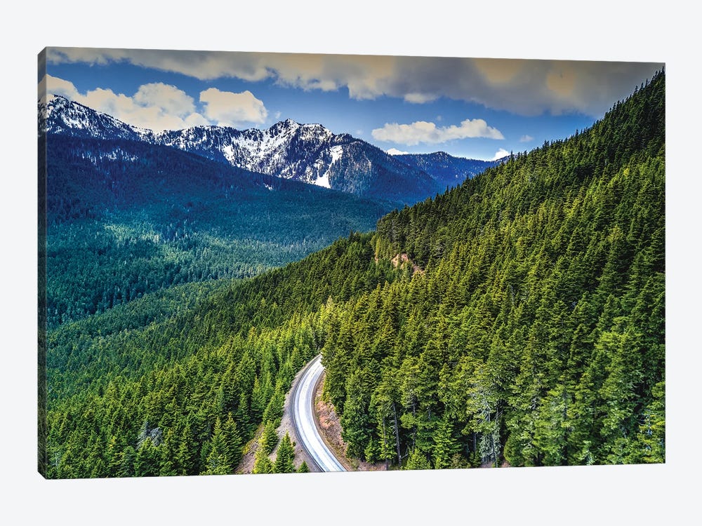 Washington Olympic National Park Forest Road by Alex G Perez 1-piece Canvas Art
