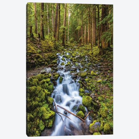 Washington Olympic National Park Forest Waterfall III Canvas Print #AGP359} by Alex G Perez Canvas Print
