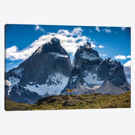 Torres Del Paine Patagonia Chile Canvas Leather Print/large 
