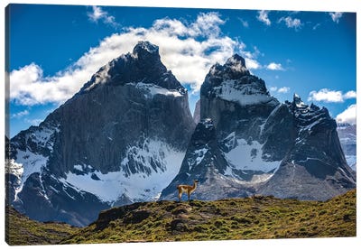Chile Patagonia Torres Del Paine Mountain Views I Canvas Art Print - Chile Art