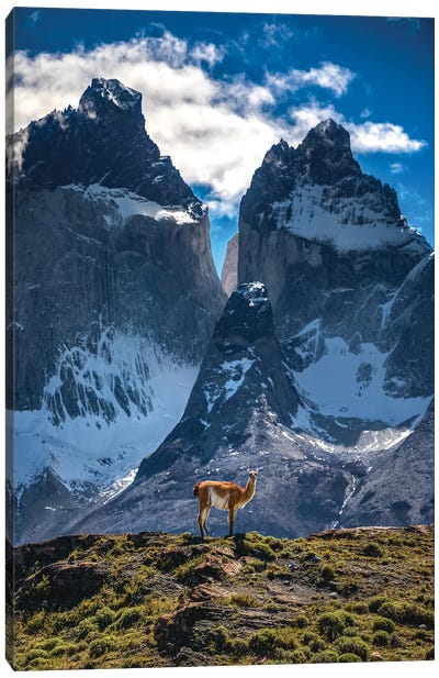 Chile Patagonia Torres Del Paine Mountain Views II Canvas Art Print - Alex G Perez