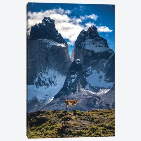 Chile Patagonia Torres Del Paine Mountain Views II Canvas Print #AGP397} by Alex G Perez Canvas Wall Art