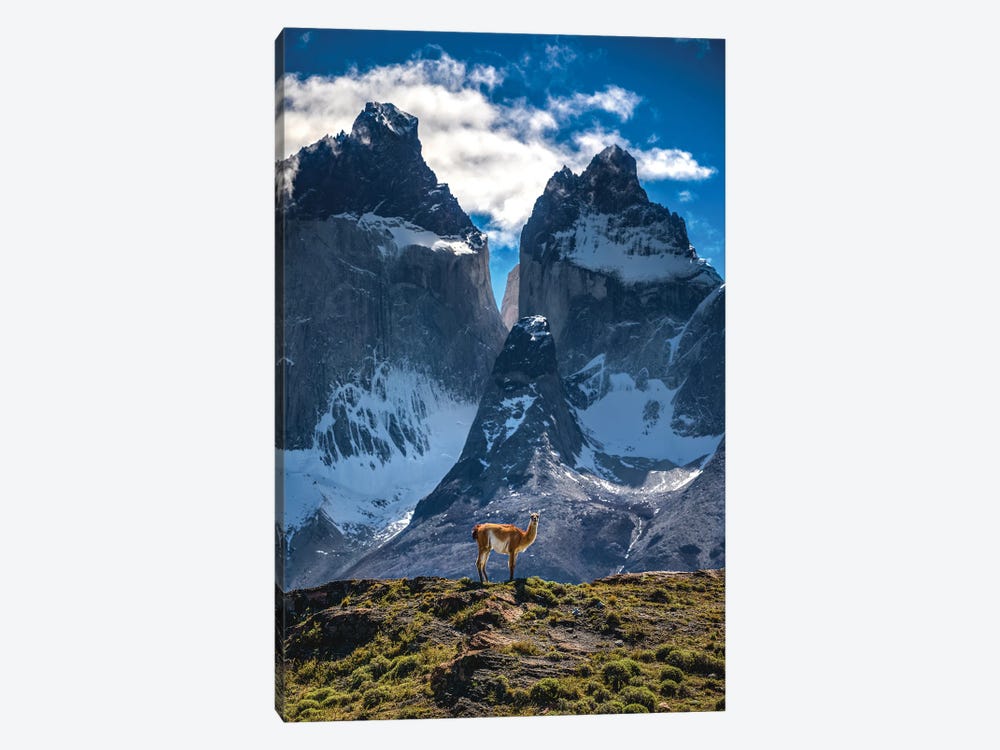 Chile Patagonia Torres Del Paine Mountain Views II by Alex G Perez 1-piece Canvas Art Print