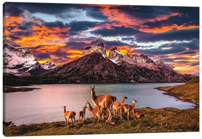 Chile Patagonia Torres Del Paine Stunning Mountain Sunset I Canvas Art Print - Chile Art