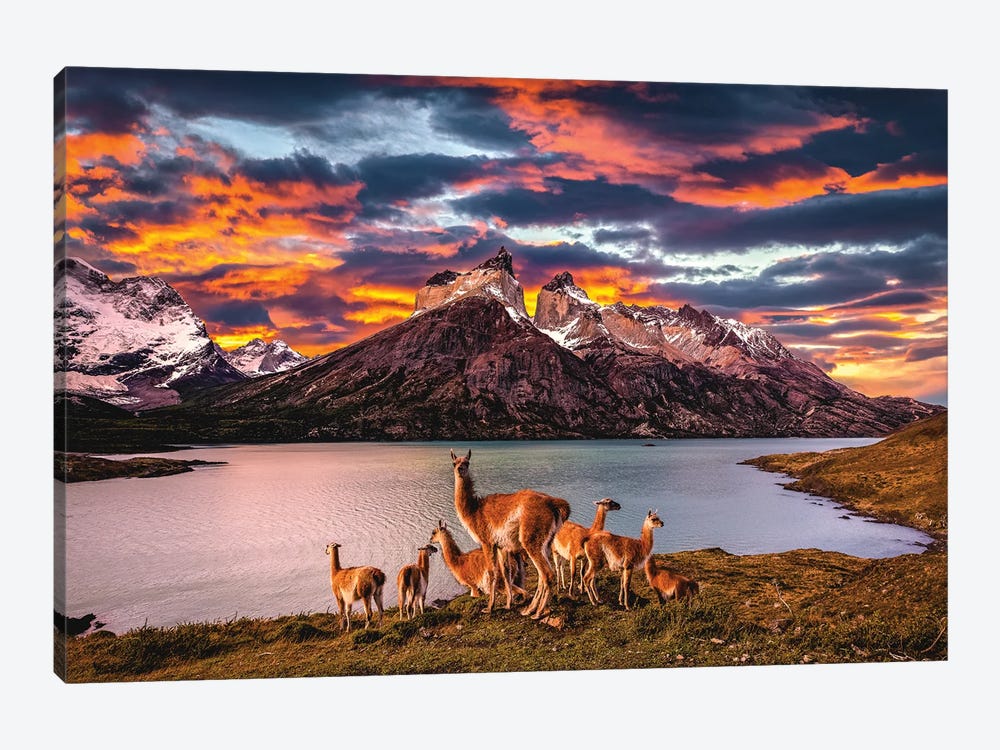 Chile Patagonia Torres Del Paine Stunning Mountain Sunset I by Alex G Perez 1-piece Art Print