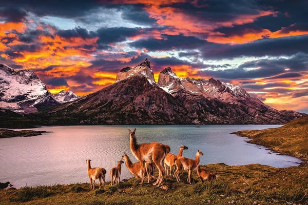 Lake Sunrises & Sunsets: Chile Patagonia Torres Del Paine Stunning Mountain Sunset I by Alex G Perez