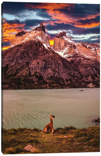 Chile Patagonia Torres Del Paine Stunning Mountain Sunset II Canvas Art Print - Alex G Perez