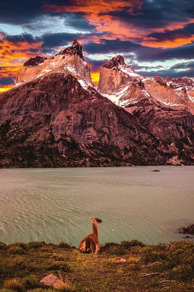 Lake Sunrises & Sunsets: Chile Patagonia Torres Del Paine Stunning Mountain Sunset II by Alex G Perez