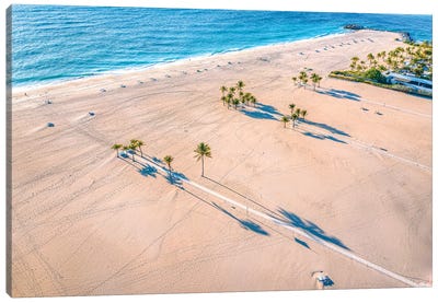 Florida White Sand Beach Palm Tree II Canvas Art Print - Alex G Perez