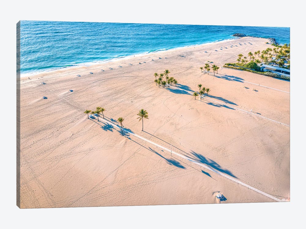 Florida White Sand Beach Palm Tree II by Alex G Perez 1-piece Canvas Artwork
