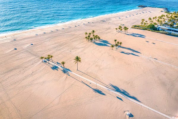 Florida Beaches: Florida White Sand Beach Palm Tree II by Alex G Perez