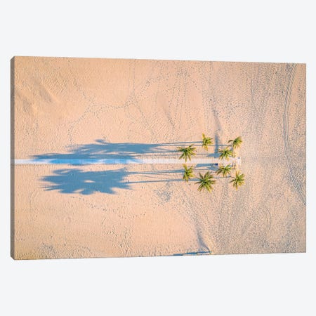 Florida White Sand Beach Palm Tree IV Canvas Print #AGP428} by Alex G Perez Canvas Print