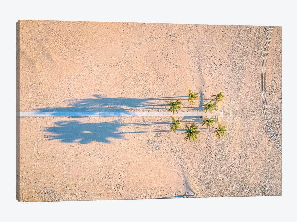 Florida White Sand Beach Palm Tree IV by Alex G Perez 1-piece Canvas Wall Art