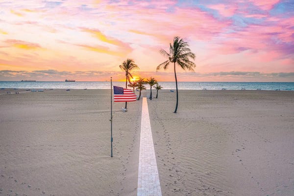 American Flags: Florida White Sand Beach Palm Tree VI by Alex G Perez