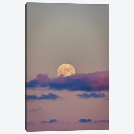 Sunset Moon Pink Skies Canvas Print #AGP487} by Alex G Perez Canvas Art