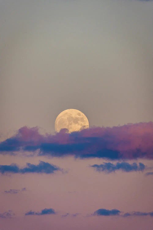 Sunset Moon Pink Skies