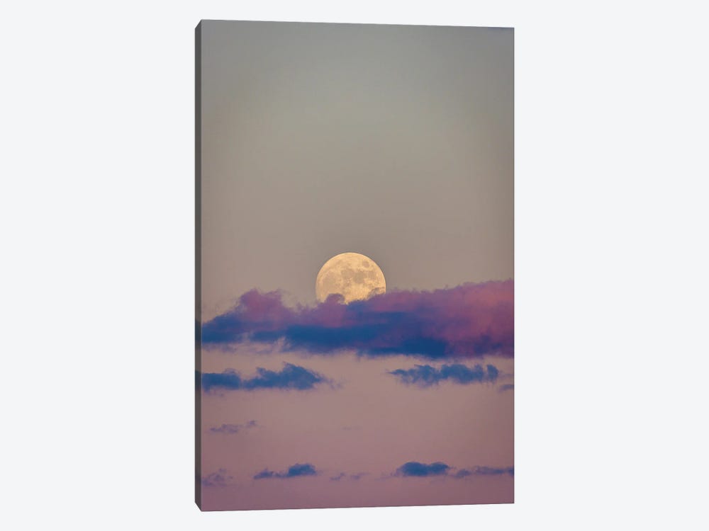 Sunset Moon Pink Skies by Alex G Perez 1-piece Canvas Print