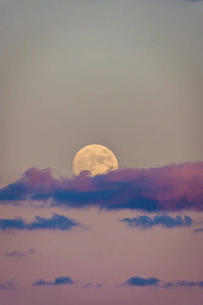 Sunset Moon Pink Skies