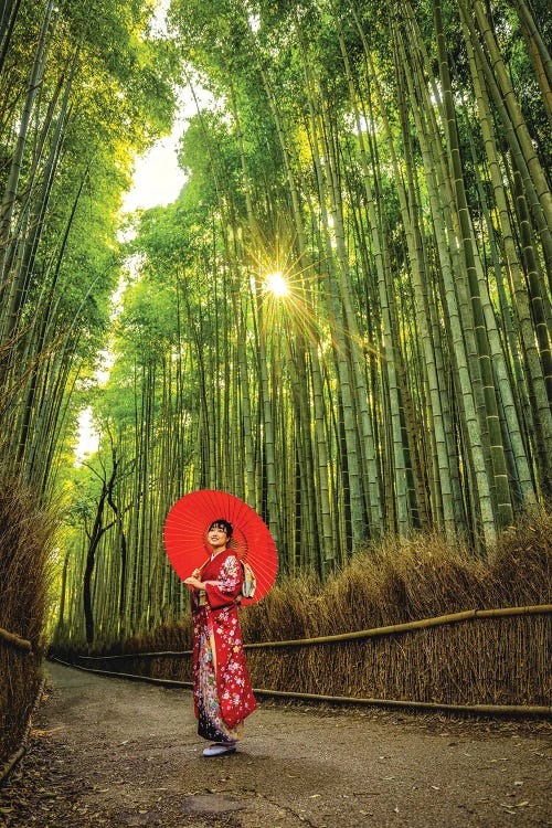 A Stroll Through Arashiyama Bamboo Forest, Kyoto, Japan I by Alex G Perez wall art