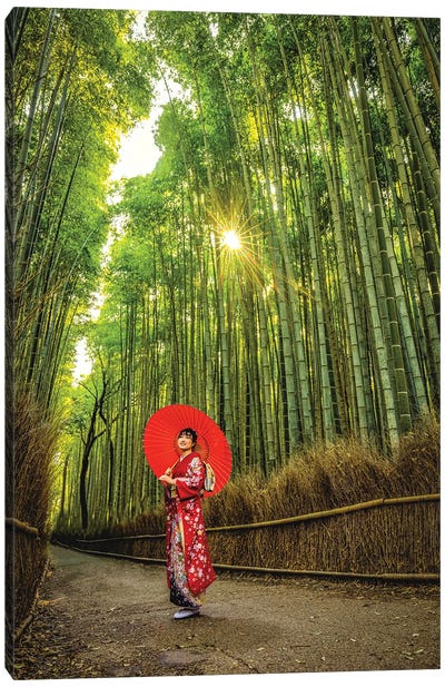 A Stroll Through Arashiyama Bamboo Forest, Kyoto, Japan I Canvas Art Print - Alex G Perez