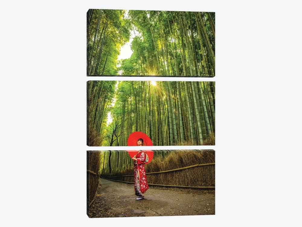 A Stroll Through Arashiyama Bamboo Forest, Kyoto, Japan I by Alex G Perez 3-piece Canvas Print