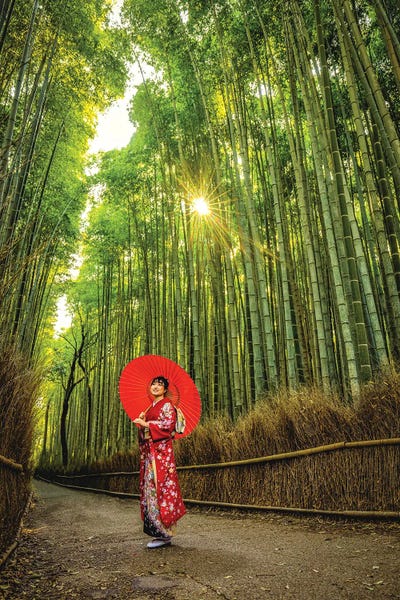 Alex G Perez: A Stroll Through Arashiyama Bamboo Forest, Kyoto, Japan I by Alex G Perez