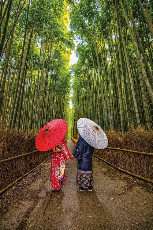 A Stroll Through Arashiyama Bamboo Forest, Kyoto, Japan II by Alex G Perez wall art