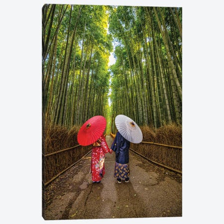 A Stroll Through Arashiyama Bamboo Forest, Kyoto, Japan II Canvas Print #AGP509} by Alex G Perez Canvas Art