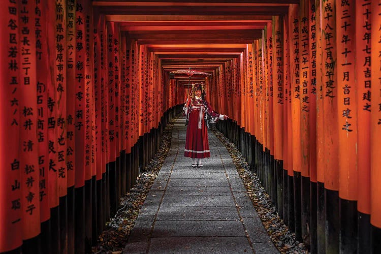 Fushimi Inari Taisha Shrine Kyoto, Japan II