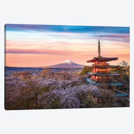 Looking Above the Cherry Blossoms at Mt. Fuji Canvas Print #AGP525} by Alex G Perez Art Print