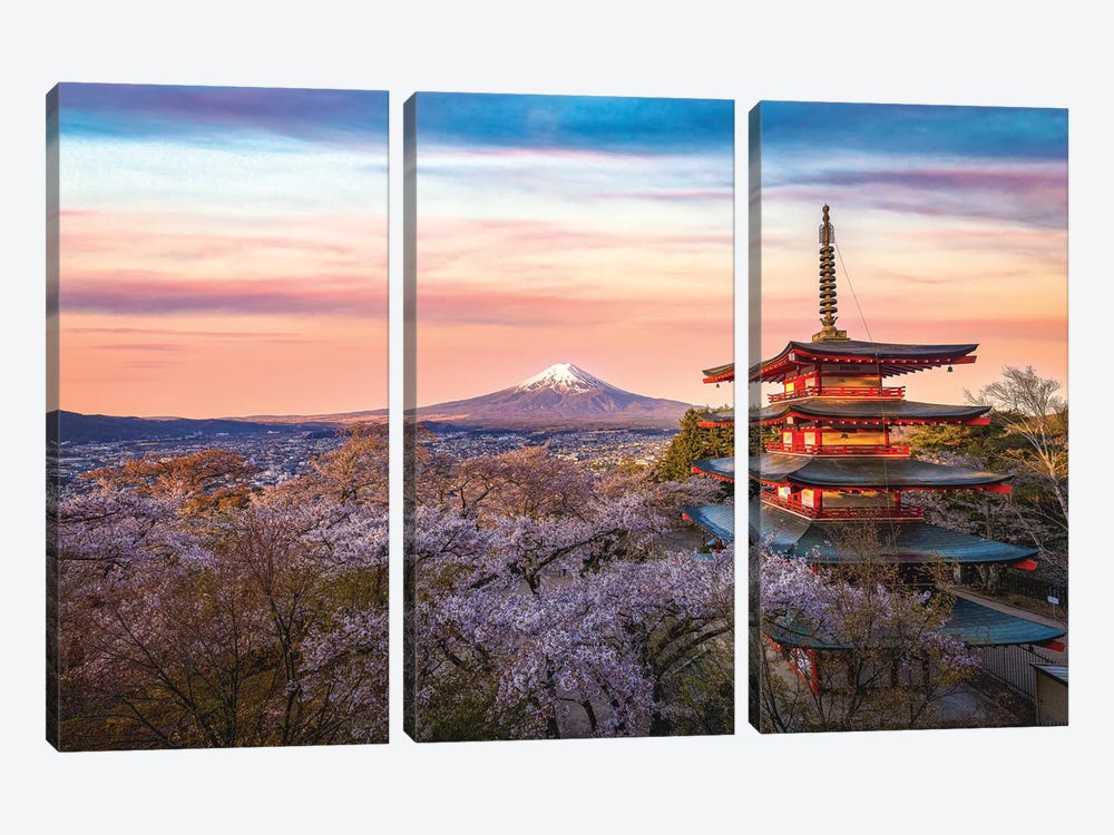 Looking Above the Cherry Blossoms at Mt. Fuji by Alex G Perez 3-piece Canvas Wall Art