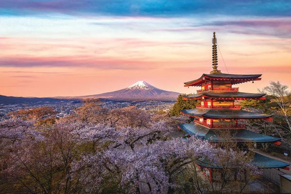 Pagodas: Looking Above the Cherry Blossoms at Mt. Fuji by Alex G Perez