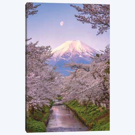 Looking Up The Shinnasho River At Cherry Bloosoms And Mt. Fuji I Canvas Print #AGP527} by Alex G Perez Art Print