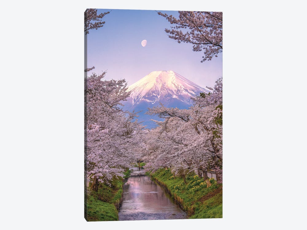 Looking Up The Shinnasho River At Cherry Bloosoms And Mt. Fuji I by Alex G Perez 1-piece Canvas Artwork