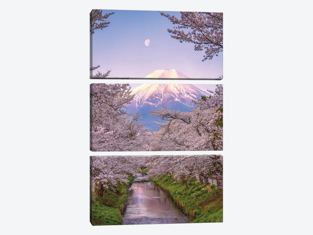 Looking Up The Shinnasho River At Cherry Bloosoms And Mt. Fuji I by Alex G Perez 3-piece Canvas Artwork