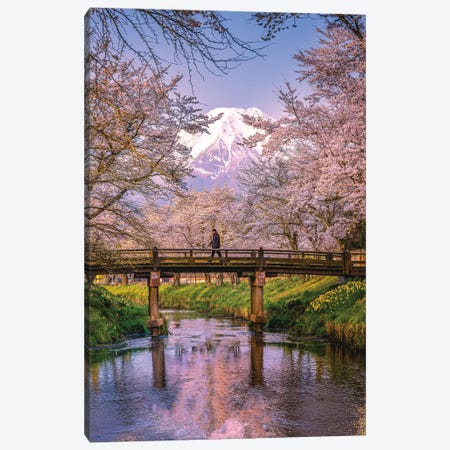Looking Up The Shinnasho River At Cherry Bloosoms And Mt. Fuji II Canvas Print #AGP528} by Alex G Perez Canvas Artwork