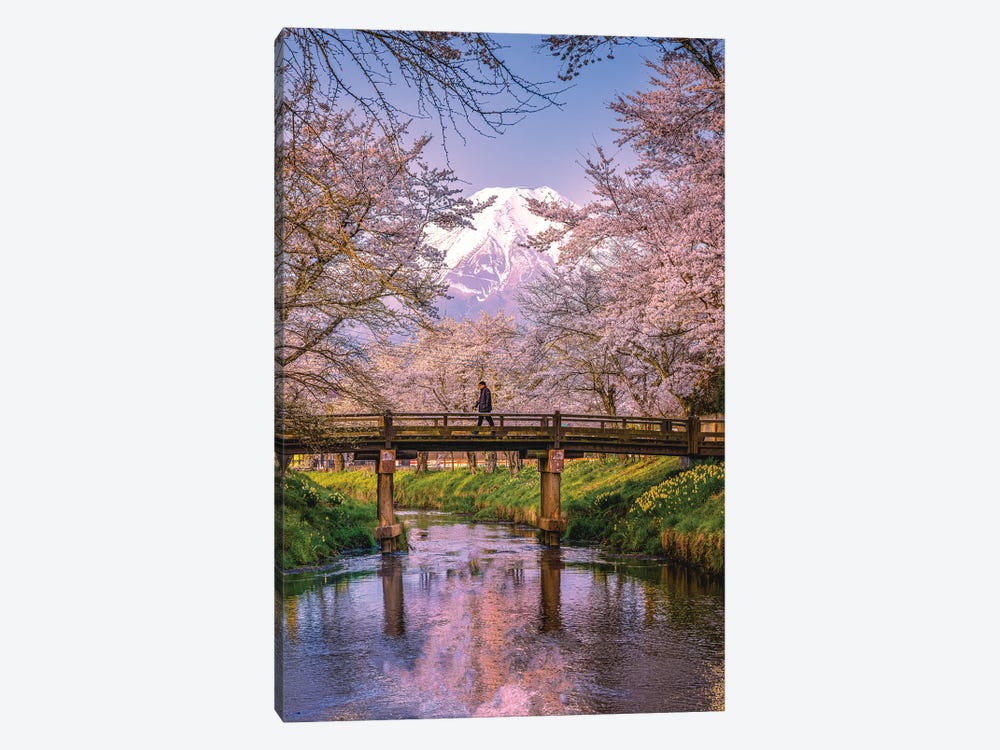 Looking Up The Shinnasho River At Cherry Bloosoms And Mt. Fuji II by Alex G Perez 1-piece Art Print