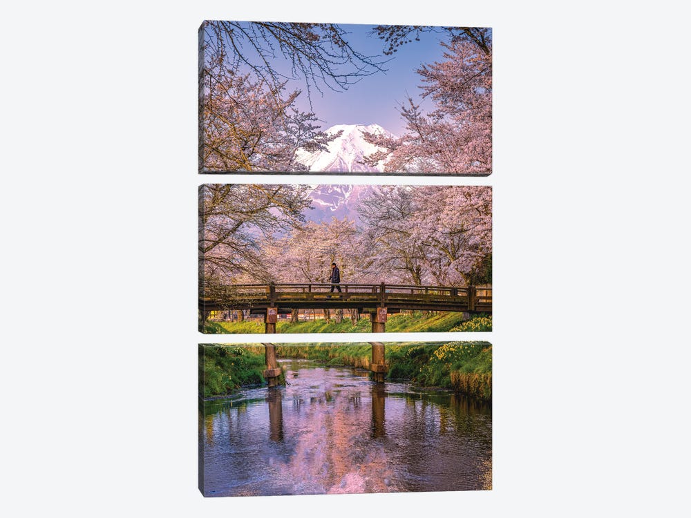 Looking Up The Shinnasho River At Cherry Bloosoms And Mt. Fuji II by Alex G Perez 3-piece Canvas Art Print